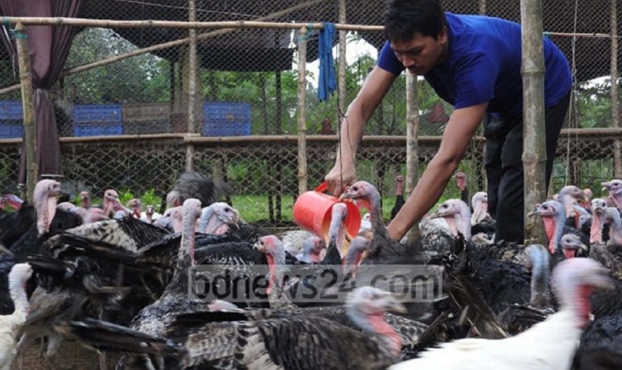 এই সুযোগে গ্রামীণ অর্থনীতি নিয়ে ভাবুন